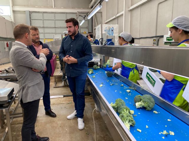 El alcalde visita la empresa Gladiator en Roldán - 3, Foto 3
