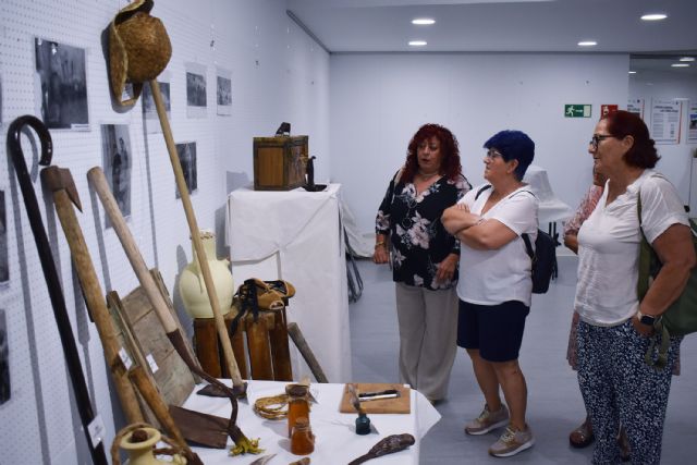 Un viaje al pasado agrícola en el Centro de Interpretación municipal gracias a la exposición Pachac - 5, Foto 5