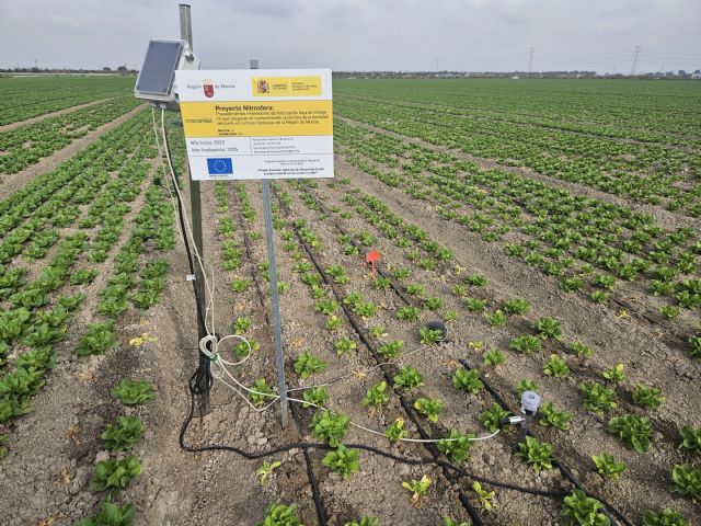 NUVES Lanza NITROSFERA-APP, una herramienta clave para una fertilización sostenible y precisa en los cultivos hortícolas - 2, Foto 2