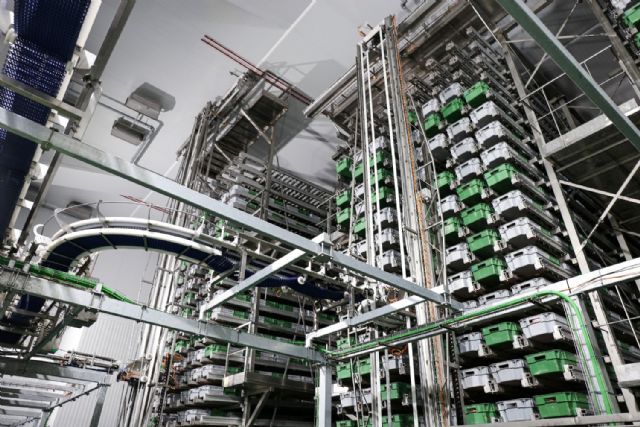 Familia Martínez invierte 150M para reforzar su crecimiento - 2, Foto 2