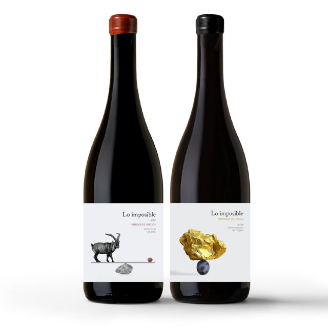Tras recuperar viejas garnachas en Gredos, Lo Imposible encuentra en Jamuz (León) el viñedo perfecto para su nuevo vino - 2, Foto 2