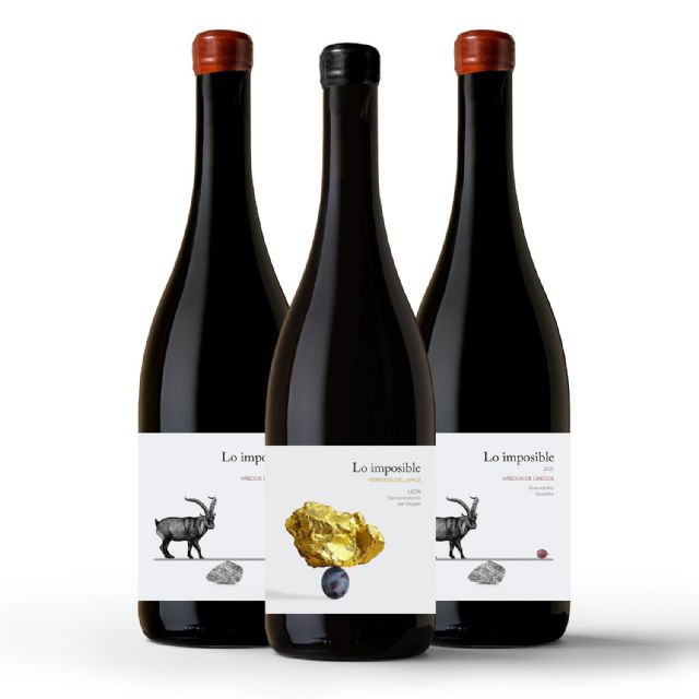 Tras recuperar viejas garnachas en Gredos, Lo Imposible encuentra en Jamuz (León) el viñedo perfecto para su nuevo vino - 3, Foto 3