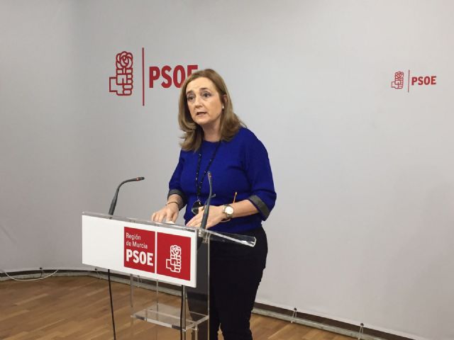 El PSOE pide al Gobierno regional que devuelva a las familias numerosas las tasas de matriculación y examen cobradas injustamente - 1, Foto 1