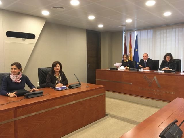 El PP propone la elaboración de una Ley nacional para proteger a las personas con discapacidad - 1, Foto 1