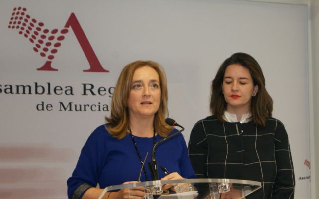 El PSOE apoya las reivindicaciones de Fundown para la homologación de los cursos formativos y espera que en esta legislatura puedan por fin ver la luz - 1, Foto 1