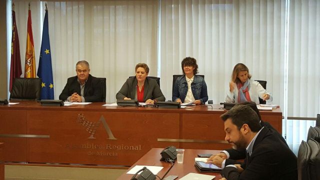 Podemos incluye un plan para abordar la “protección y conservación” de las Salinas de Marchamalo - 1, Foto 1