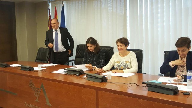 Podemos ve “imprescindible” eliminar las entidades con ánimo de lucro de los conciertos de servicios sociales - 1, Foto 1