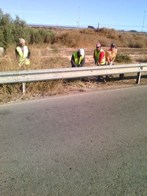 Desarrollan un ambicioso plan de choque de limpieza de cunetas en caminos rurales y arreglo de las áreas de juegos infantiles en parques y jardines, Foto 9