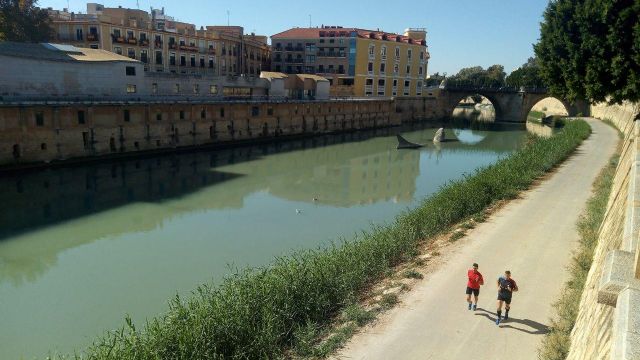 Huermur critica el color verde chocolate del Segura a su paso por Murcia - 2, Foto 2