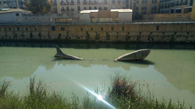 Huermur critica el color verde chocolate del Segura a su paso por Murcia - 4, Foto 4