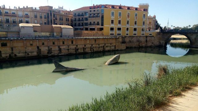 Huermur critica el color verde chocolate del Segura a su paso por Murcia - 5, Foto 5