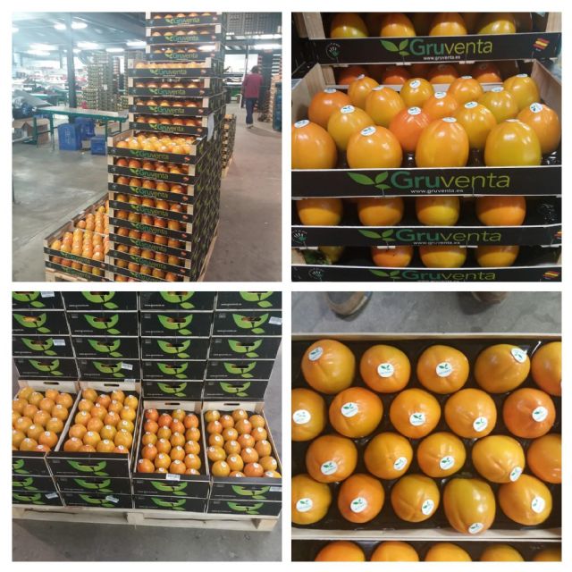 Gruventa afronta la campaña de kaki con “optimismo y una gran calidad” - 1, Foto 1