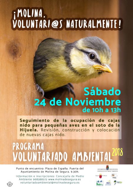 El Programa de Voluntariado Ambiental de Molina de Segura ¡Voluntari@s Naturalmente! colabora en el seguimiento de la ocupación de cajas nido en el Soto de la Hijuela el sábado 24 de noviembre - 1, Foto 1
