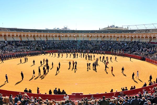 Multitudinaria asistencia a la Jura de fidelidad a la Bandera en un acto inédito en la Plaza de Toros de la Real Maestranza de Caballería de Sevilla - 5, Foto 5
