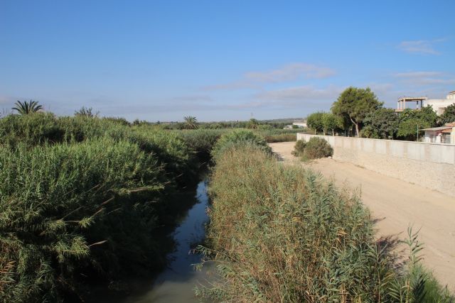 El MITECO encarga el servicio de mantenimiento, restauración y mejora de los cauces de la Demarcación Hidrográfica del Segura - 2, Foto 2