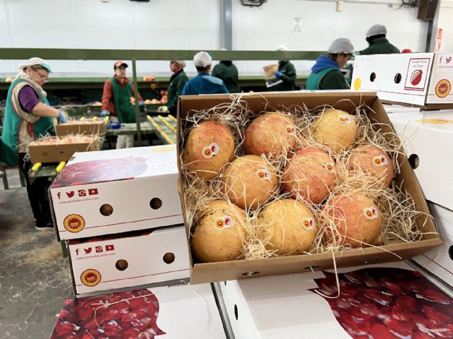 Abierto el plazo para solicitar el envío gratuito de 250 cajas de granadas de Elche para los valencianos que viven fuera - 2, Foto 2