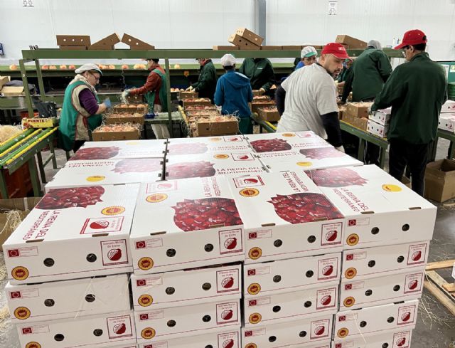 Abierto el plazo para solicitar el envío gratuito de 250 cajas de granadas de Elche para los valencianos que viven fuera - 3, Foto 3