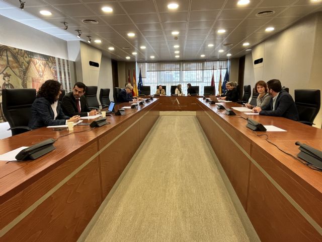 La Comisión Especial de Lucha contra la Pobreza y la Exclusión Social inicia su actividad con las comparecencias de los consejeros de Política Social y de Educación - 1, Foto 1