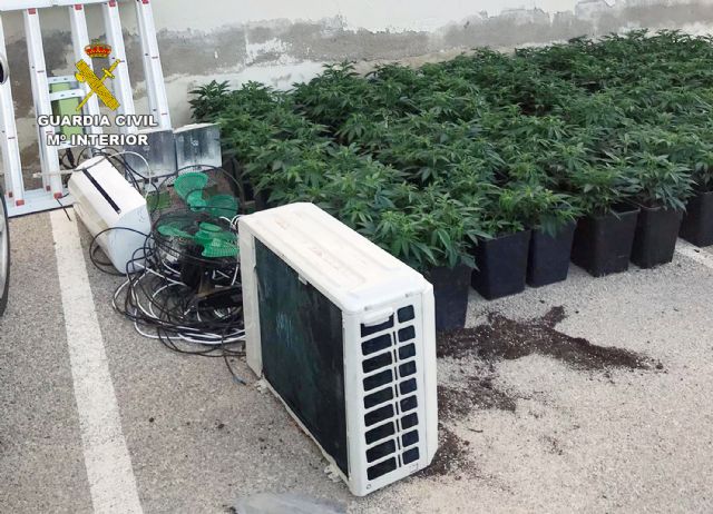 Detenida una mujer por cultivar 141 plantas de marihuana en un domicilio - 2, Foto 2