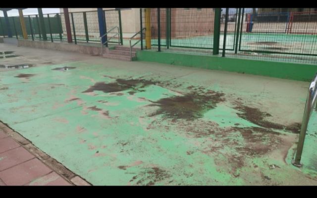 IU lleva el pleno el mal funcionamiento de distintos servicios municipales en Purias, la Hoya y Zarcilla - 1, Foto 1