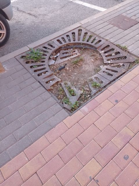 IU lleva el pleno el mal funcionamiento de distintos servicios municipales en Purias, la Hoya y Zarcilla - 4, Foto 4