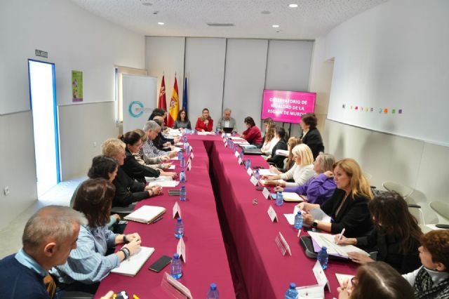 La Comunidad ultima un Pacto regional contra la Violencia hacia las Mujeres que implica corresponsabilidad entre administraciones - 2, Foto 2