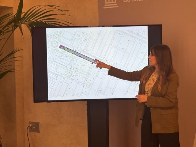 Murcia impulsa la remodelación integral de la mediana del Polígono Industrial Oeste - 2, Foto 2