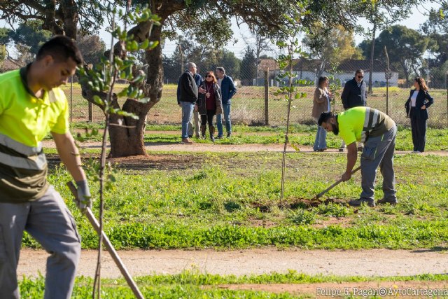 La Junta Municipal de Los Dolores aprueba mociones sobre la Vía Verde, el IES San Isidoro y una pista deportiva en el polígono de Santa Ana - 1, Foto 1