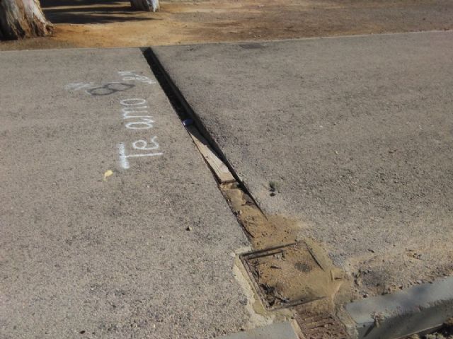 La desidia invade el Parque del Campus Universitario, olvidado y abandonado por el PP - 5, Foto 5