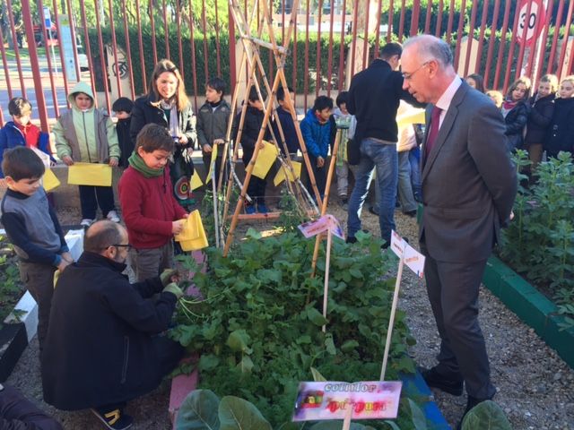 35 centros educativos participan en la Red de Huertos Escolares Ecológicos del Ayuntamiento de Murcia - 1, Foto 1