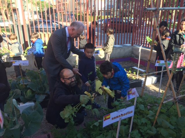 35 centros educativos participan en la Red de Huertos Escolares Ecológicos del Ayuntamiento de Murcia - 2, Foto 2