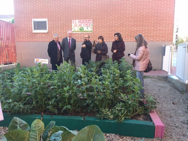 35 centros educativos participan en la Red de Huertos Escolares Ecológicos del Ayuntamiento de Murcia - 3, Foto 3