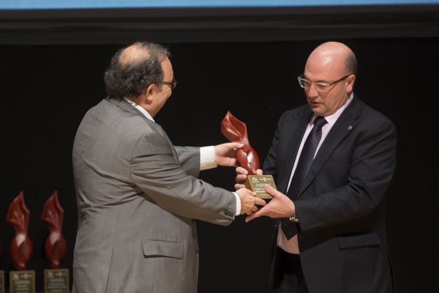 Galardonan a la Facultad de Ciencias del Deporte de la UMU por sus publicaciones científicas de alto impacto - 1, Foto 1