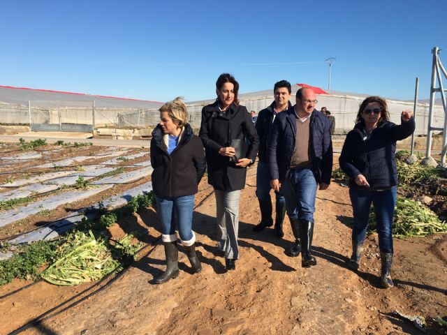 El presidente Pedro Antonio Sánchez compromete la ayuda del Gobierno regional al sector agrícola afectado por las inundaciones, en El Mirador - 3, Foto 3
