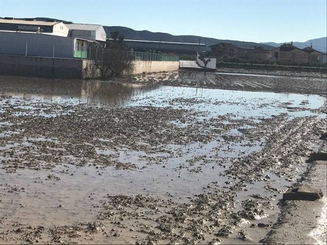 Mari Carmen Morales luchará para que la Huerta de Beniel sea declarada zona de siniestralidad - 3, Foto 3