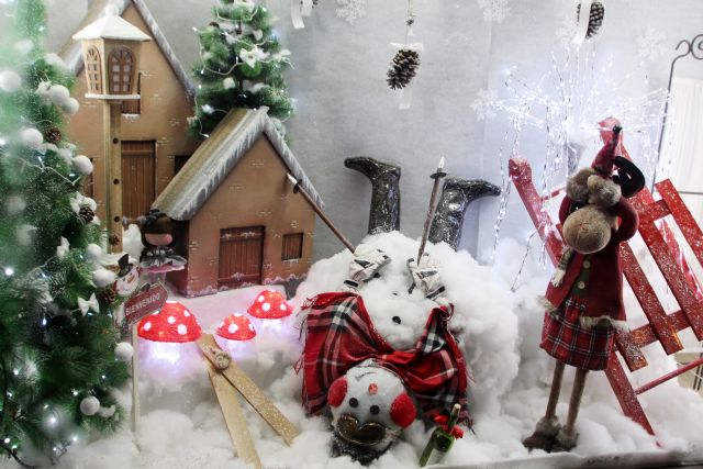 Esther ptica se hace con el primer premio de XXII Concurso de Escaparatismo, Foto 6