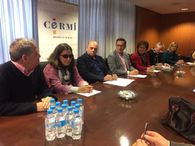 Conesa: Las personas con discapacidad necesitan un respaldo total y absoluto por parte de las administraciones - 2, Foto 2