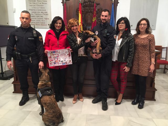 La Asociación de Vecinos de Alfonso X organiza mañana la llegada a Lorca de Papá Noel con regalos para niños y mascotas - 1, Foto 1