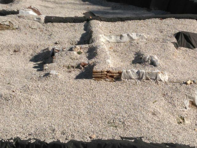 Huermur solicita a Cultura y al Ayuntamiento reparaciones urgentes del geotextil de San Esteban - 4, Foto 4