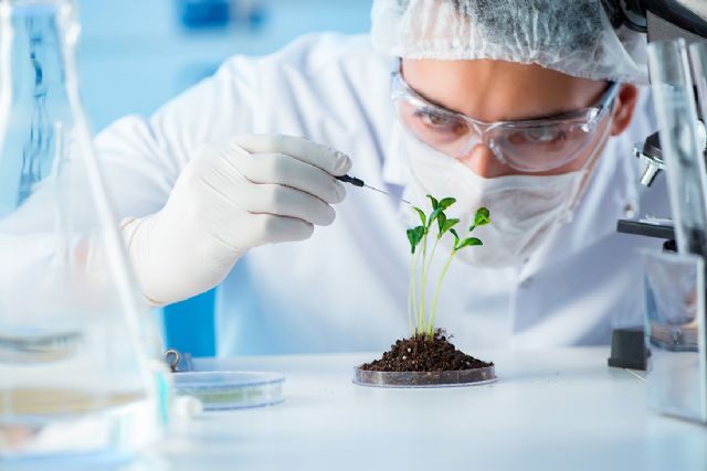 La UCAM incrementa sus tesis doctorales industriales - 1, Foto 1