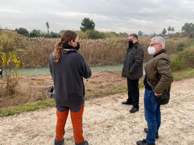 Alumnos del IES El Carmen recuperan el bosque de ribera en el río Segura a su paso por Rincón de Seca - 1, Foto 1