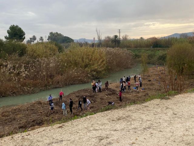 Alumnos del IES El Carmen recuperan el bosque de ribera en el río Segura a su paso por Rincón de Seca - 3, Foto 3