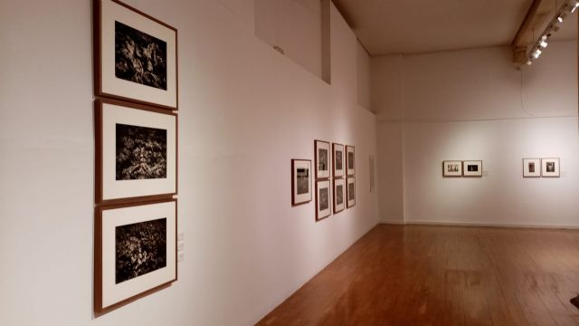 La Sala Alta del Almudí acoge 'Lo que queda de Auschwitz' - 3, Foto 3