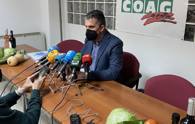 Los sectores agrícolas registran mermas muy importantes en sus ingresos que ponen en riesgo a las explotaciones - 1, Foto 1