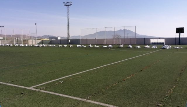 Comienzan las obras de sustitución del césped del campo de fútbol Antonio Ibáñez - 1, Foto 1