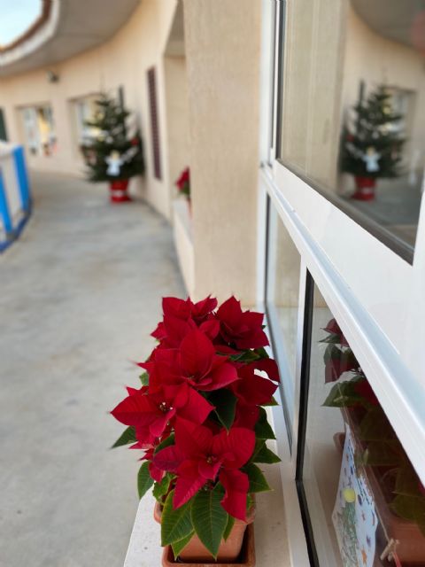 Nuevo Espacio de Recreo en Colorines Torre Pacheco - 2, Foto 2