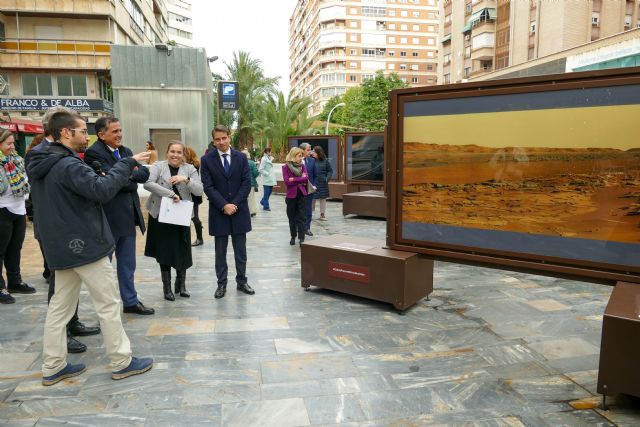 El Ayuntamiento de Murcia y La Fundación ´la Caixa´ convierten la Avenida de la Libertad en un museo a cielo abierto - 3, Foto 3