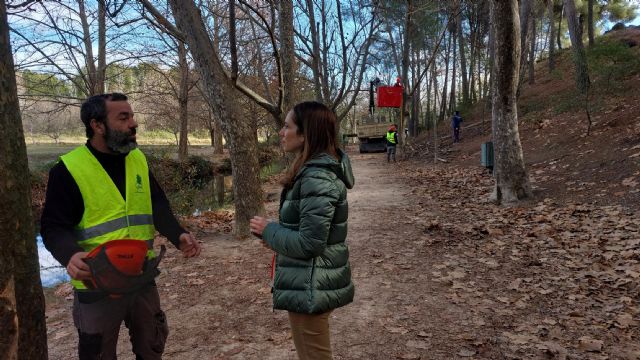 El Ayuntamiento de Caravaca y Medio Natural llevan a cabo labores de mejora y conservación forestal de los árboles monumentales de las Fuentes del Marqués - 2, Foto 2