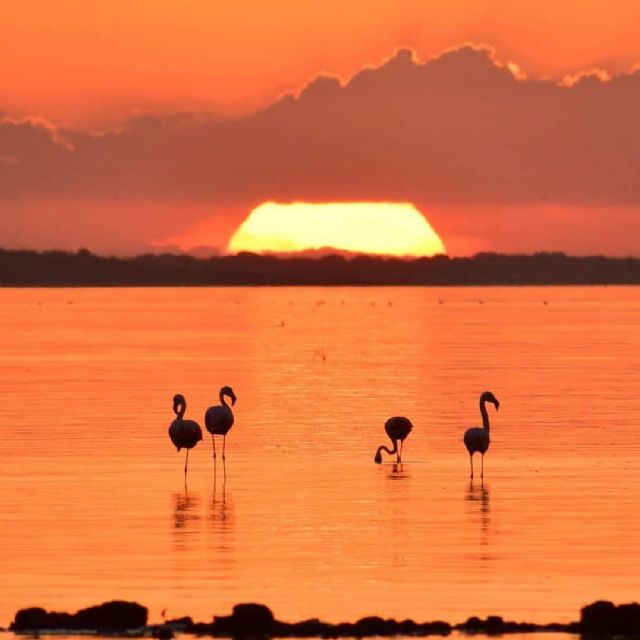 El Pleno aprueba el hermanamiento entre San Pedro del Pinatar y la localidad argentina de Miramar de Ansenuza - 1, Foto 1