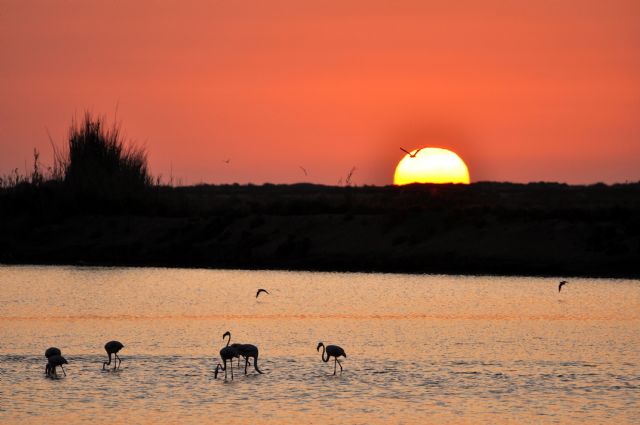 El Pleno aprueba el hermanamiento entre San Pedro del Pinatar y la localidad argentina de Miramar de Ansenuza - 2, Foto 2